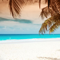 Dreams Puerto Morelos - beach