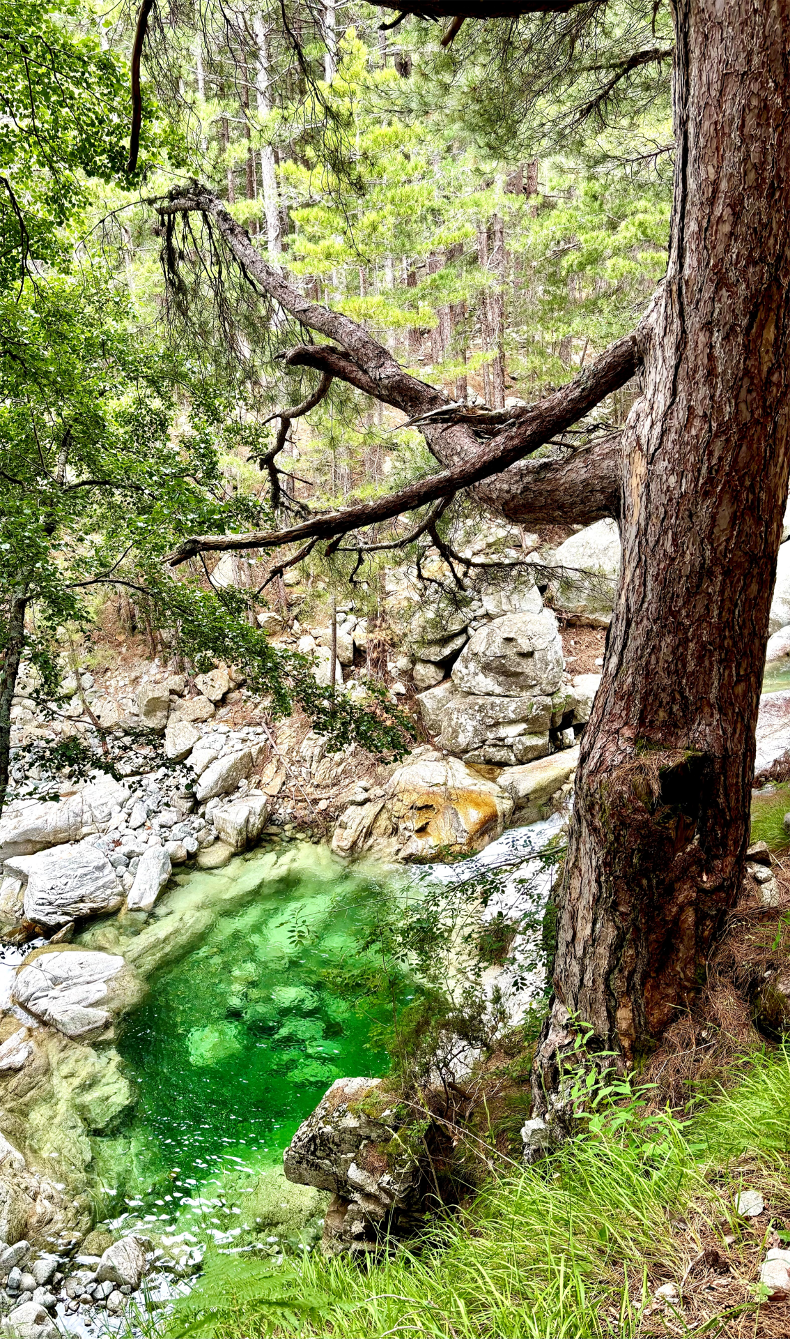 Piscine naturelle du GR20 Piscine naturelle du GR20