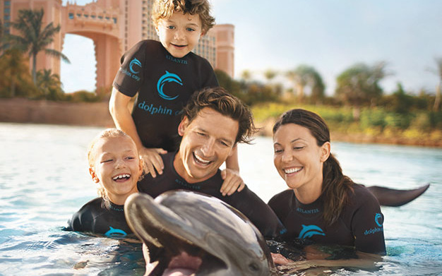 Dolphins Dolphins