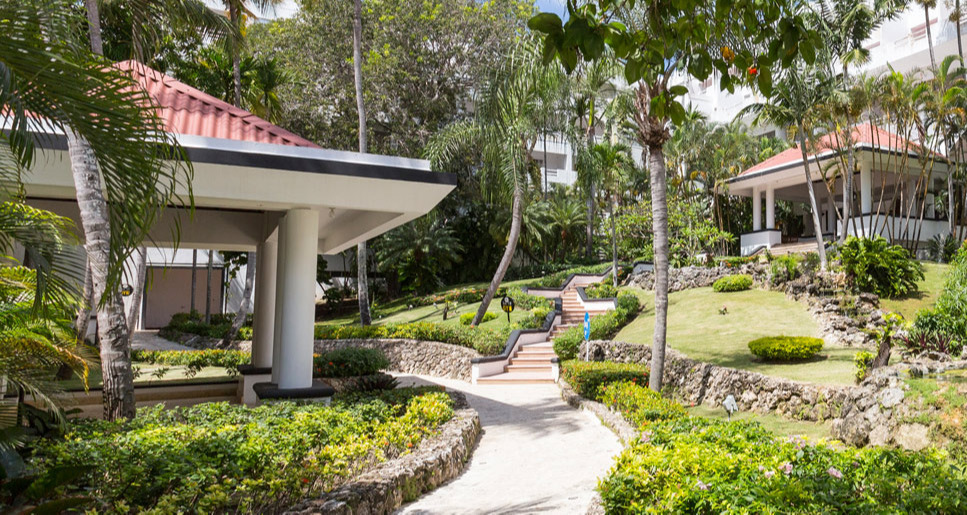 Garden Garden