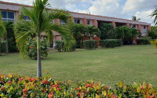 Jardin Jardin