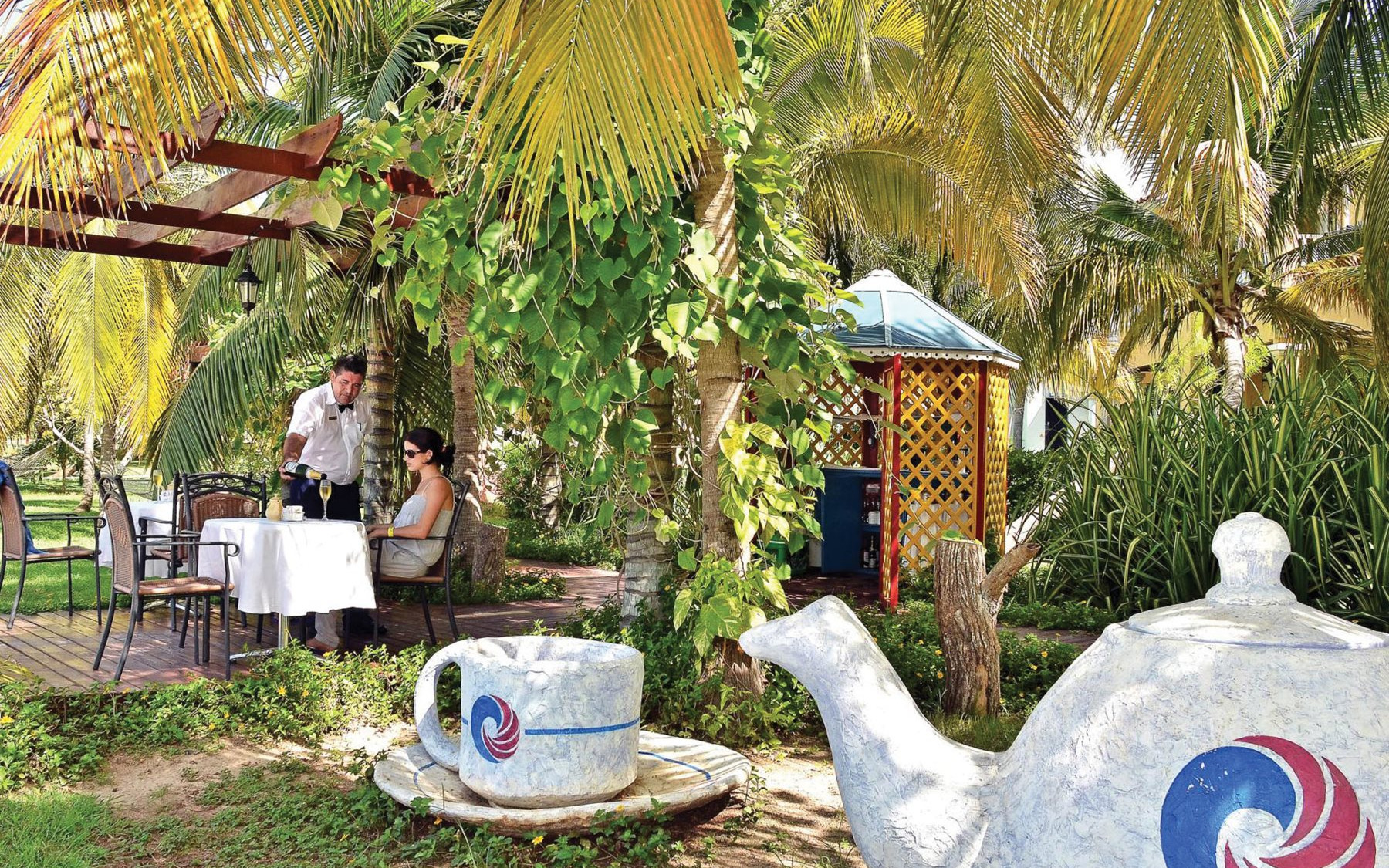 Tea garden Tea garden