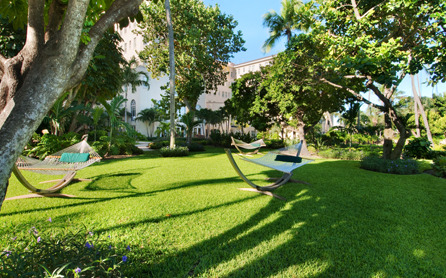 Garden Garden