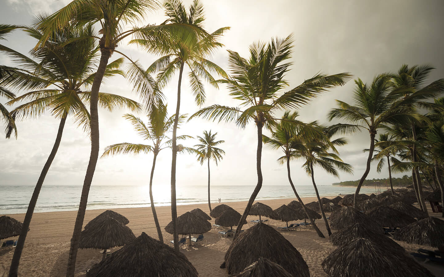 Plage Plage