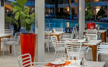 Tao Cat restaurant Tao Cat restaurant