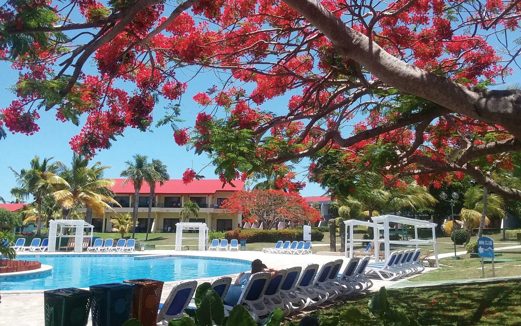 Piscine Piscine