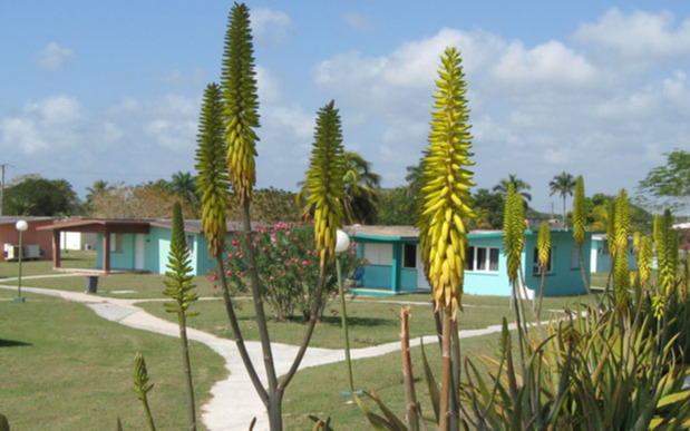 Jardins Jardins