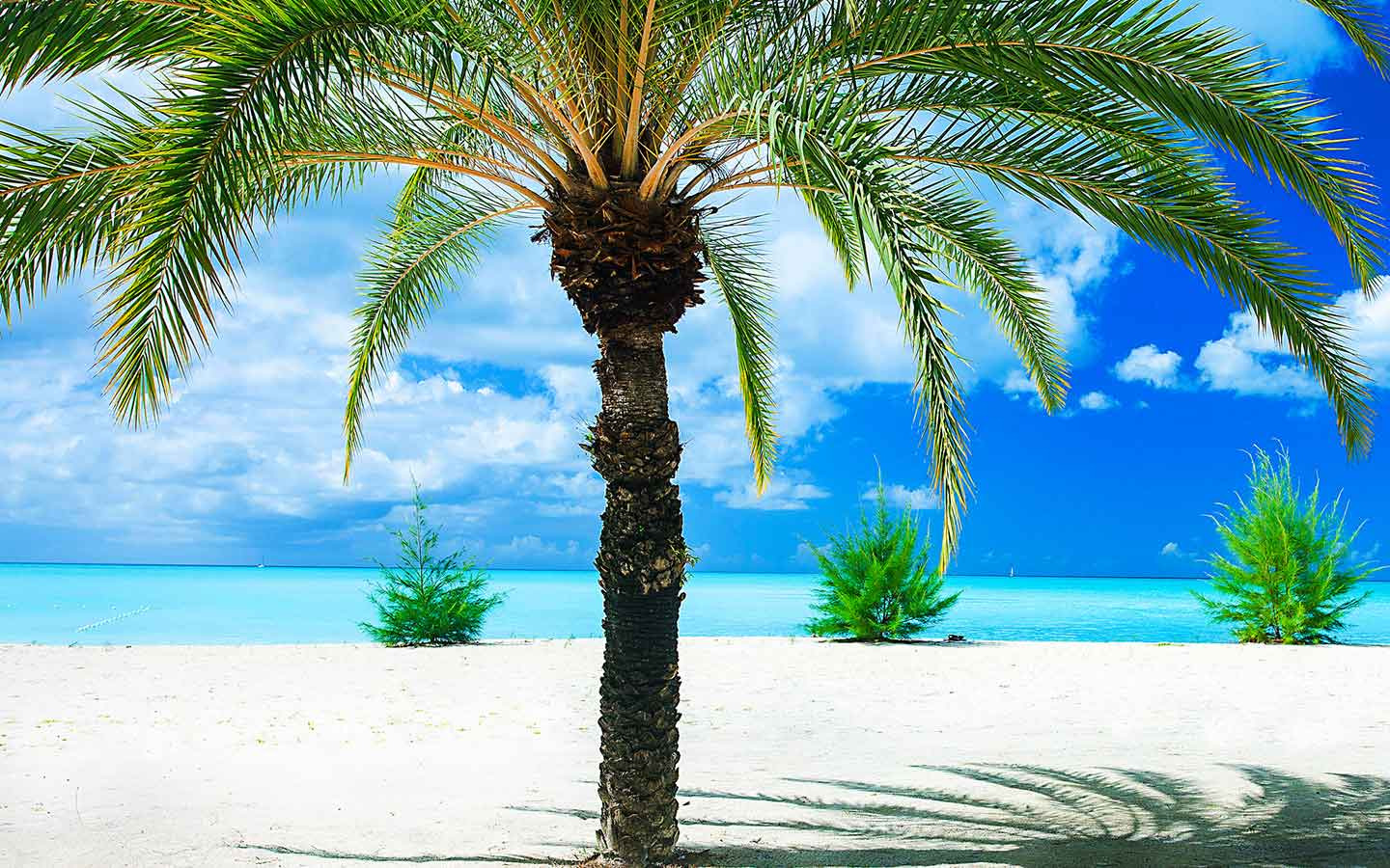 Plage Plage