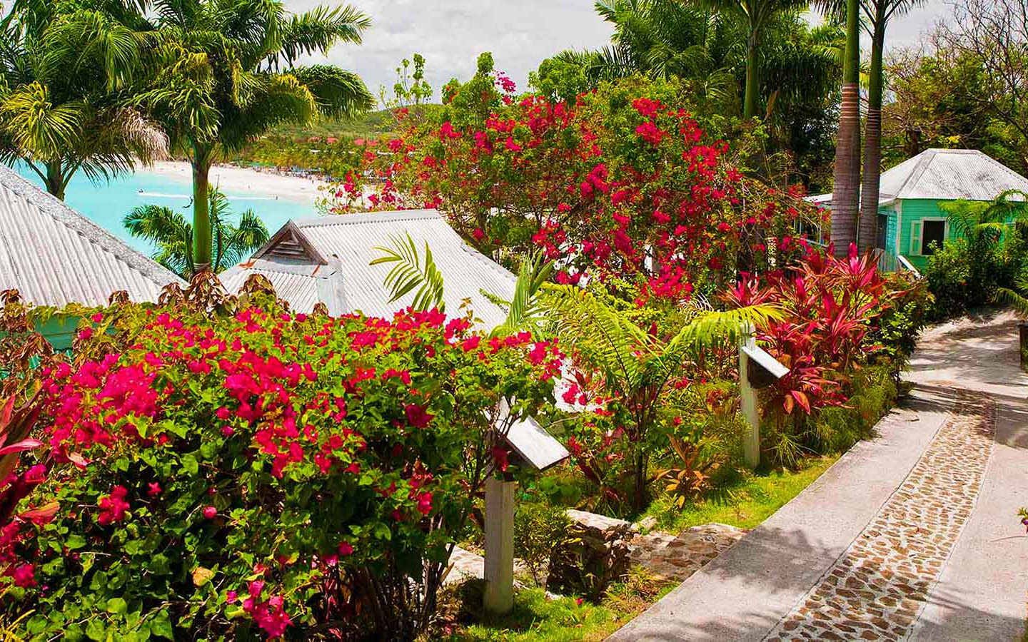 Resort Resort