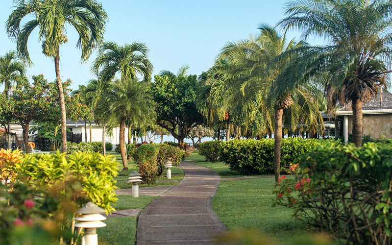 Jardins Jardins