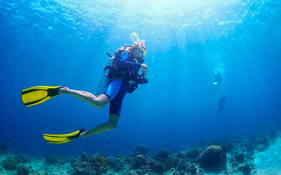 Diving Diving