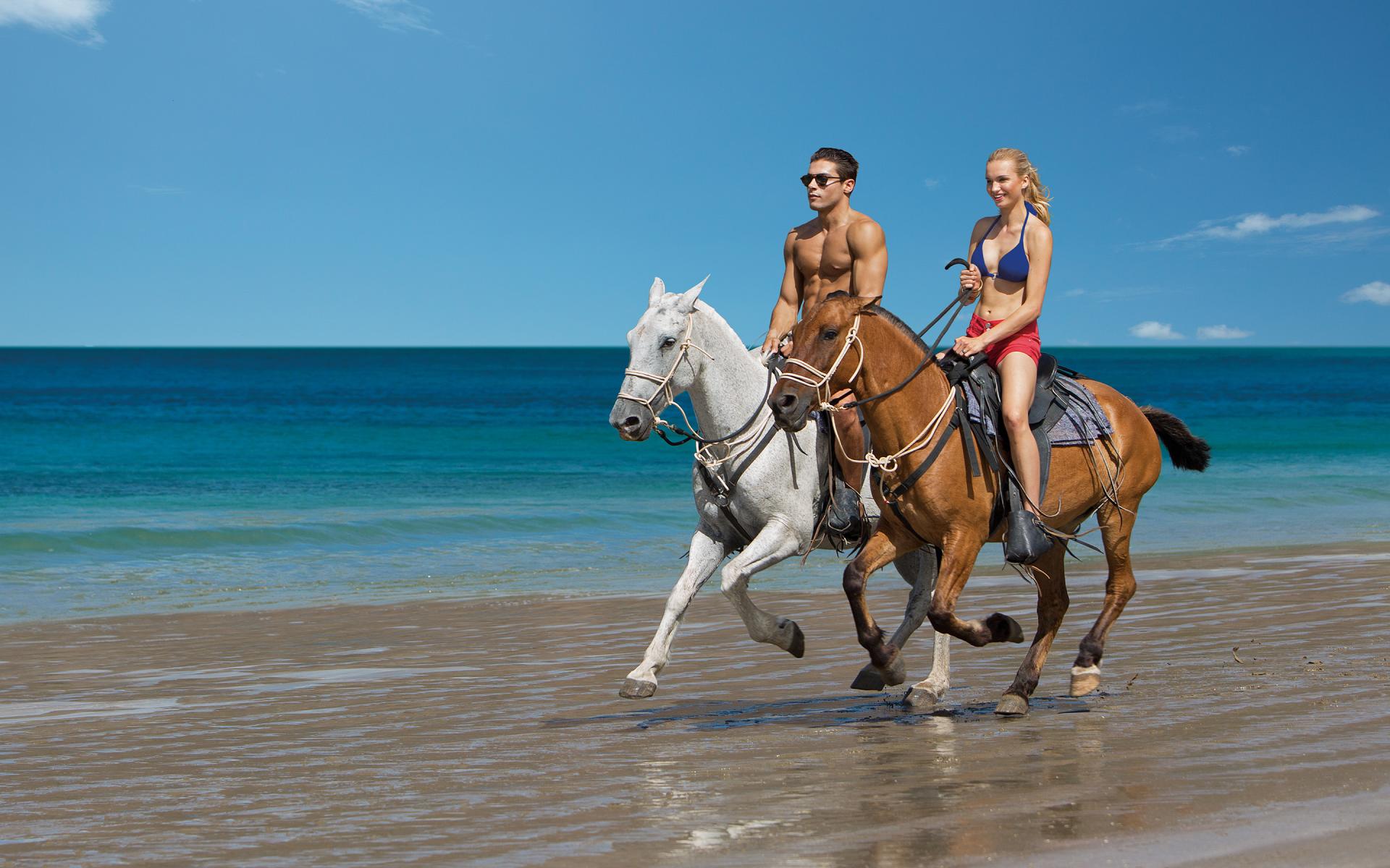 Équitation Équitation