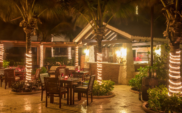 Trattoria Trattoria