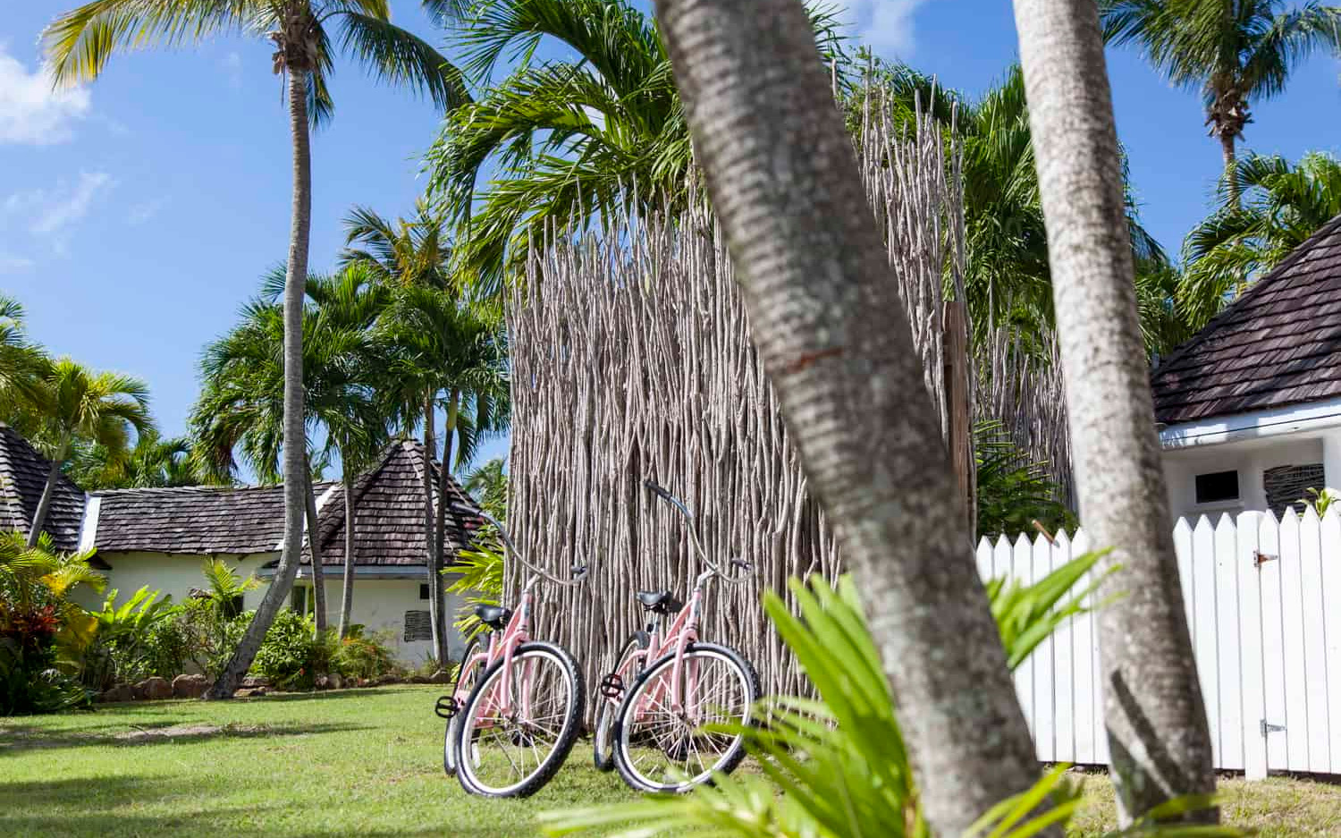 Bike Bike