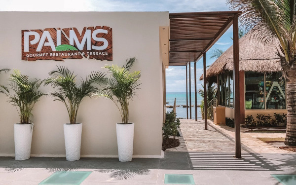 Palms Palms