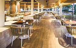 Buffet Buffet