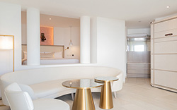 Platinum Suite Platinum Suite