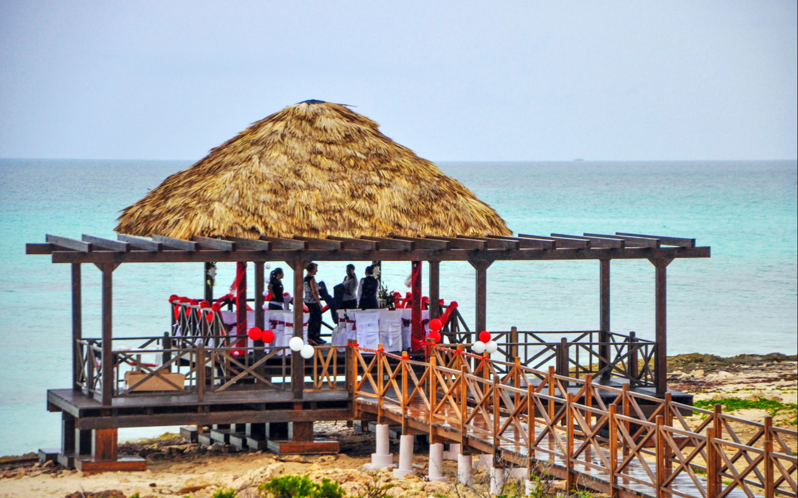 Wedding Wedding