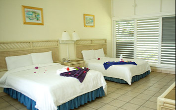 Room Room