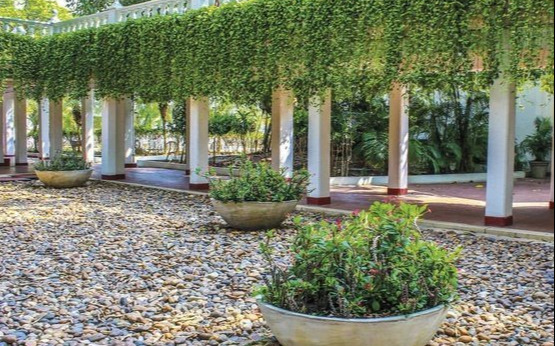 Jardin Jardin