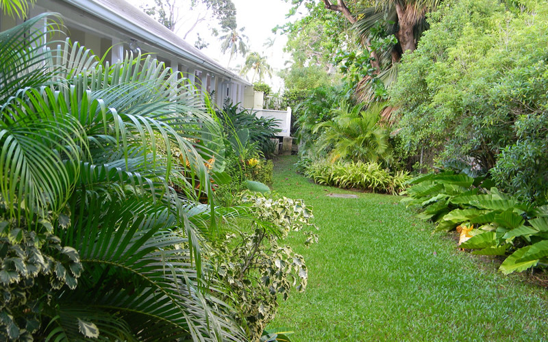 Jardin Jardin
