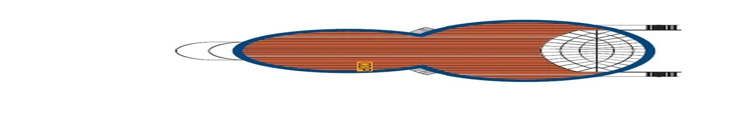 Paradise Sports Deck