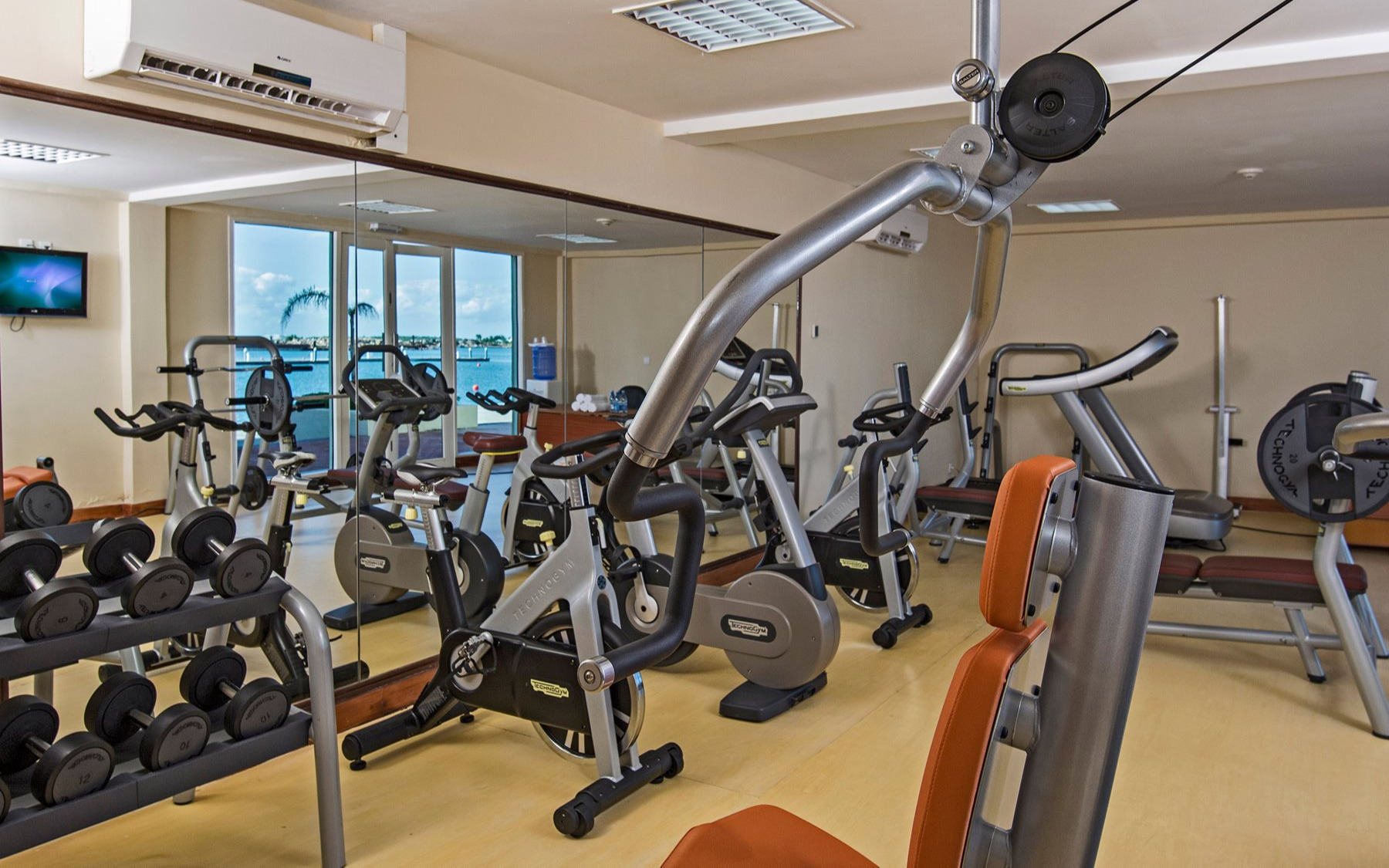 Gym Gym