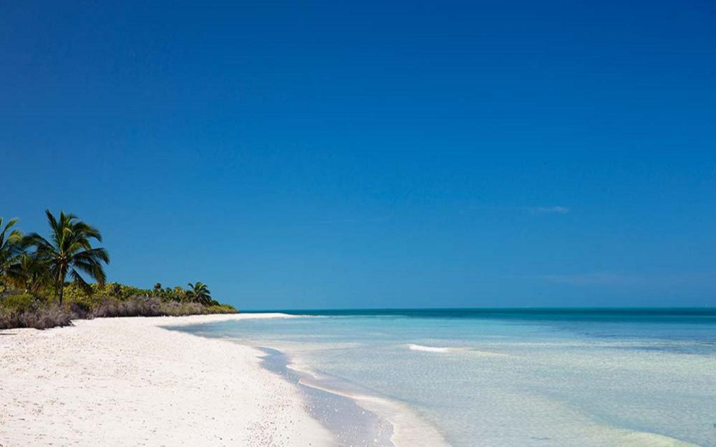Plage Plage