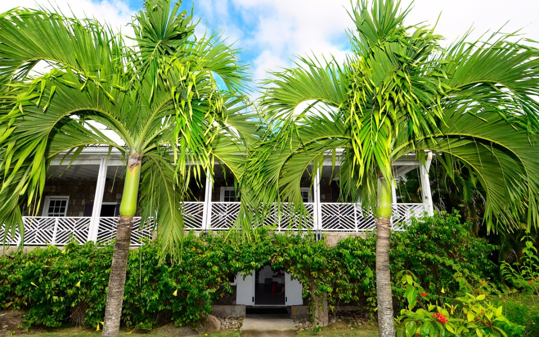 Resort Resort