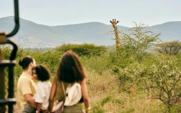 Des voyageurs observent une girafe au cœur de la savane sud-africaine pendant une expérience safari proposée dans le cadre d’un séjour au Club Med. Des voyageurs observent une girafe au cœur de la savane sud-africaine pendant une expérience safari proposée dans le cadre d’un séjour au Club Med.