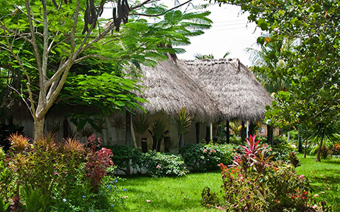 Spa Spa