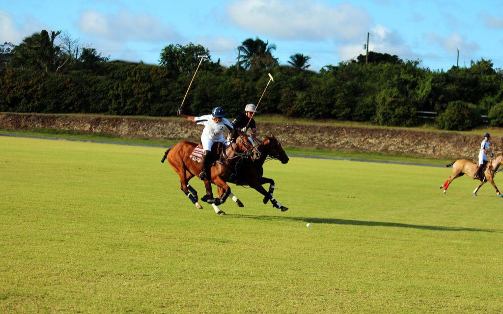 Polo Polo