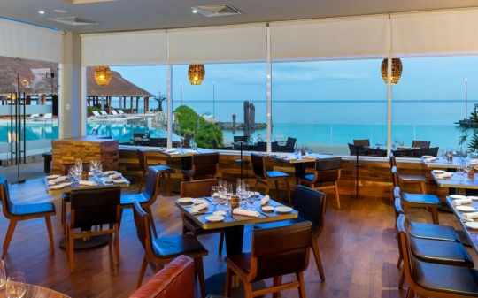 Alfredi Alfredi