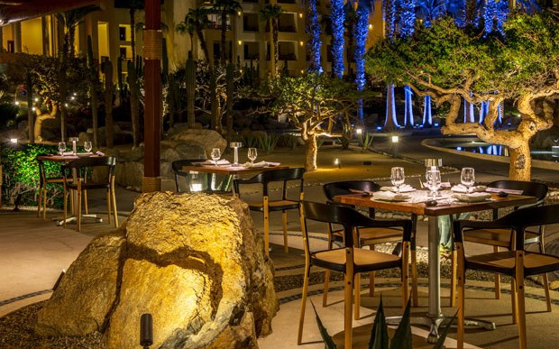 Restaurant Restaurant