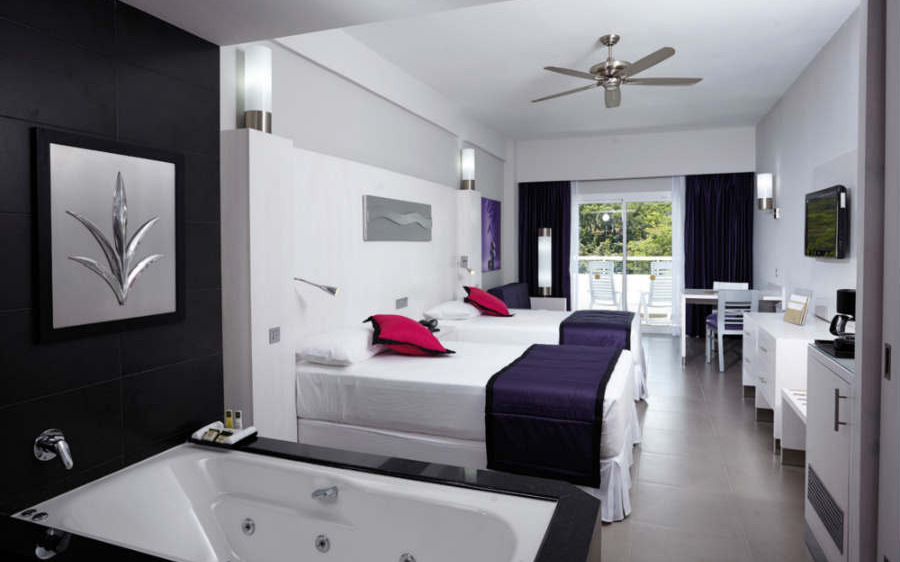 Suite Junior vue jardin Suite Junior vue jardin