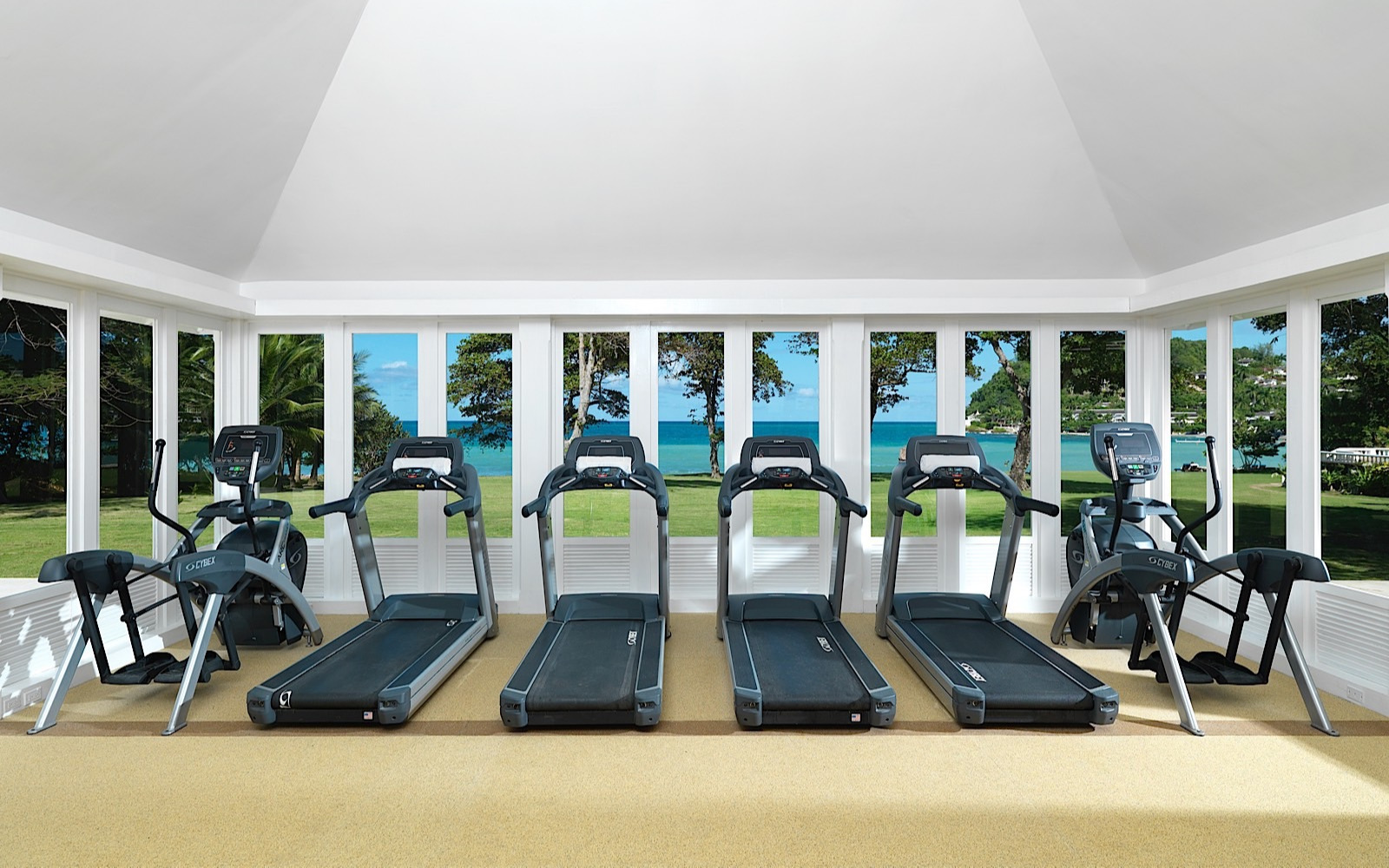 Gym Gym