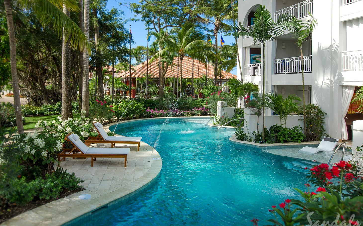 Swim up pool Swim up pool