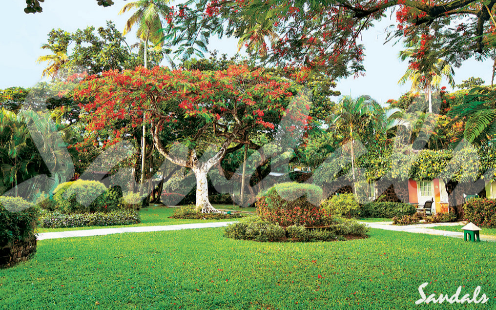 Jardins Jardins