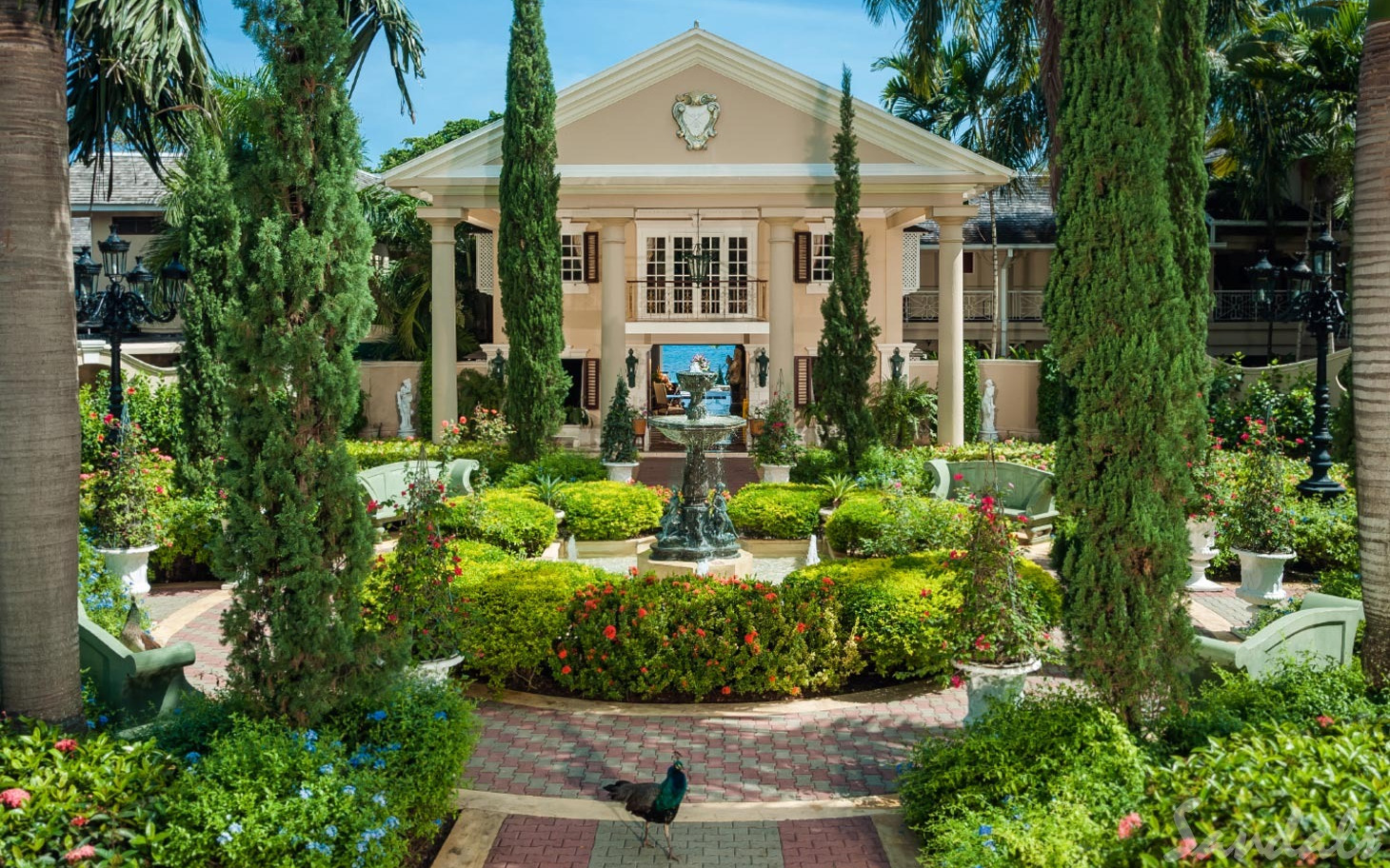 Entrée Entrée