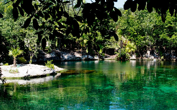 Cenote Cenote