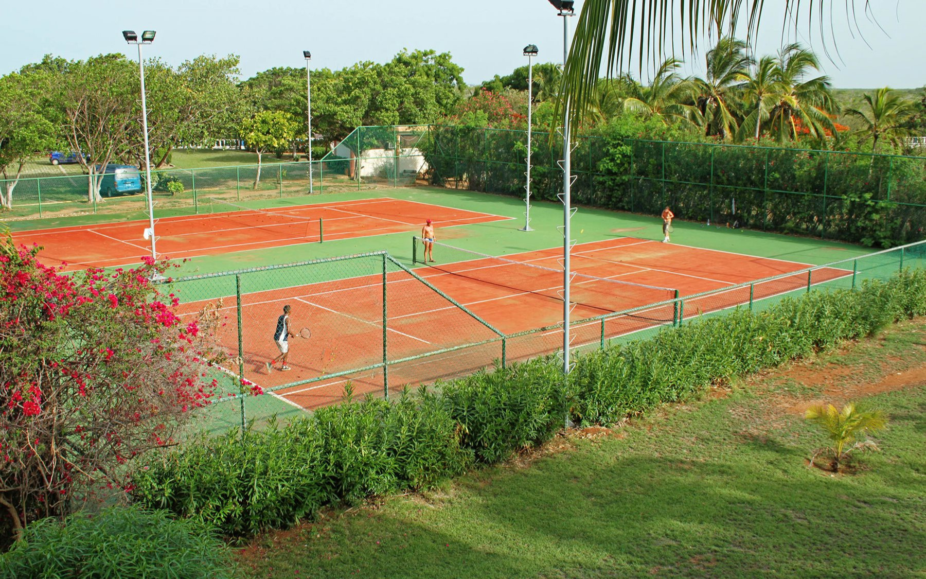 Tennis Tennis