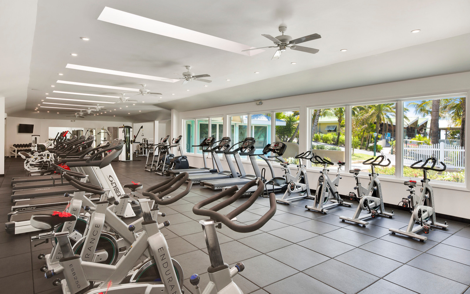 Gym Gym