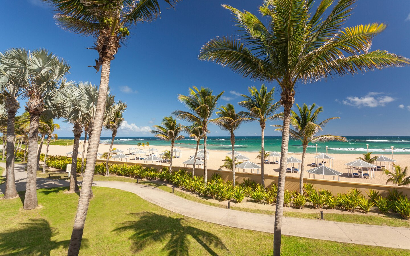 Plage Plage
