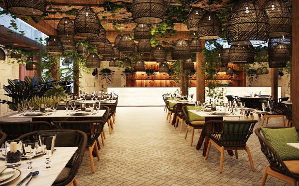 Fuego Fuego