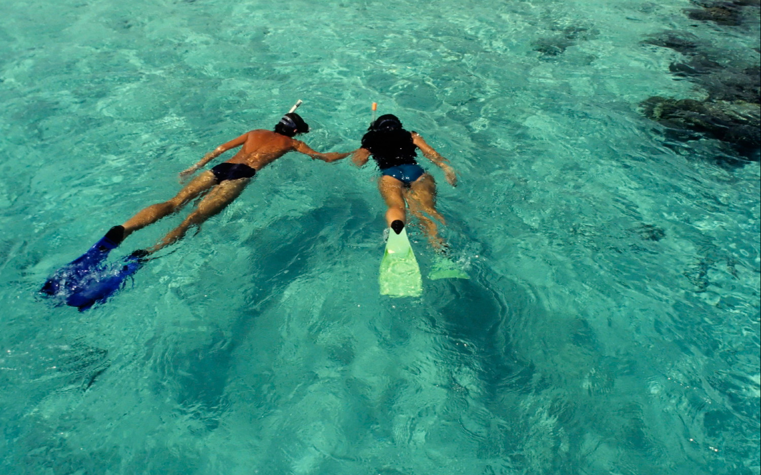 Diving Diving