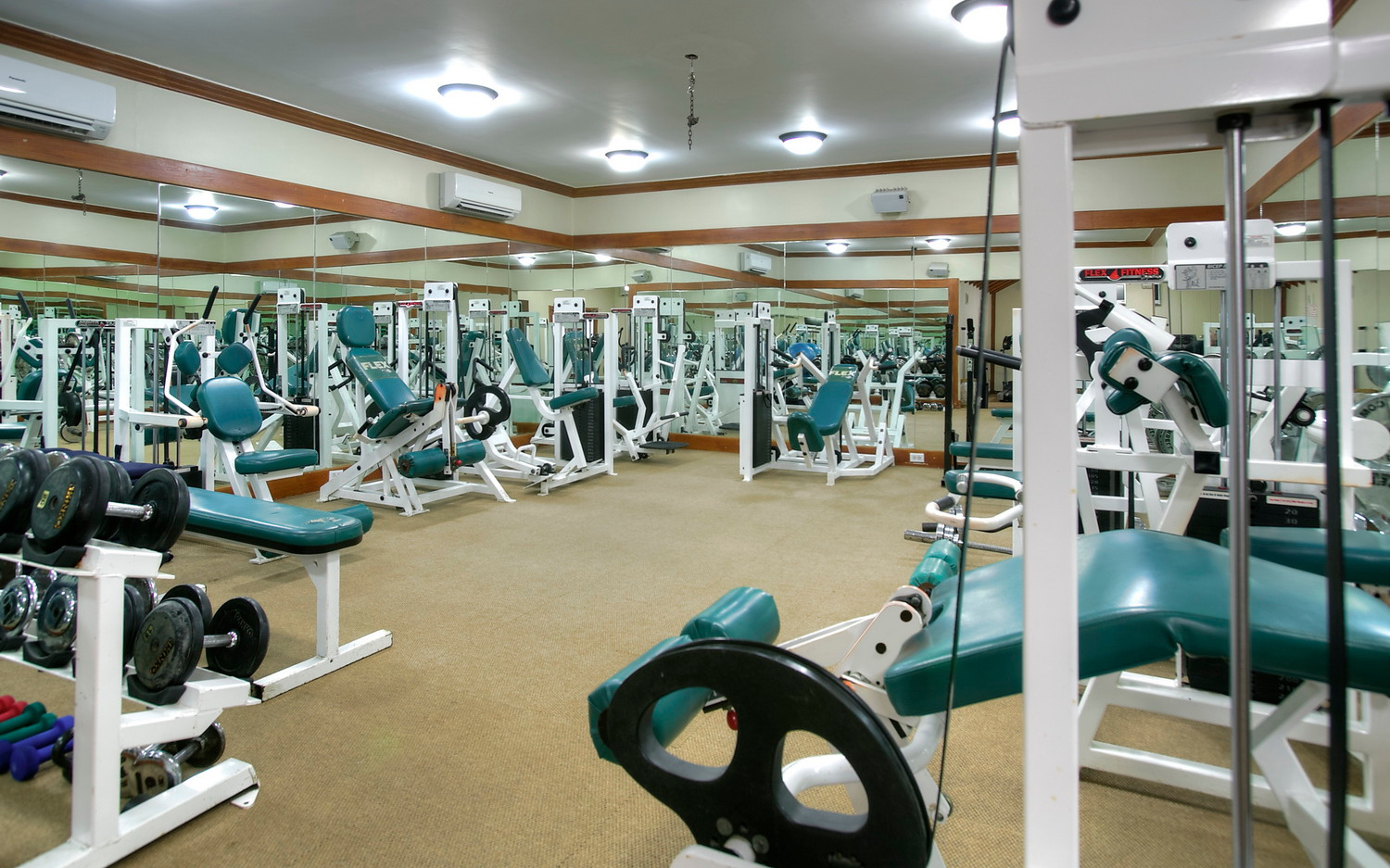 Gym Gym