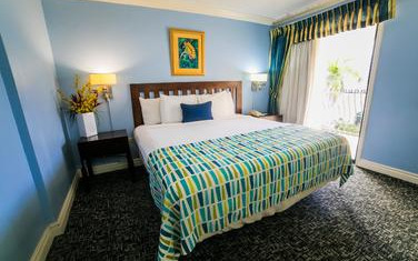 Standard room Standard room