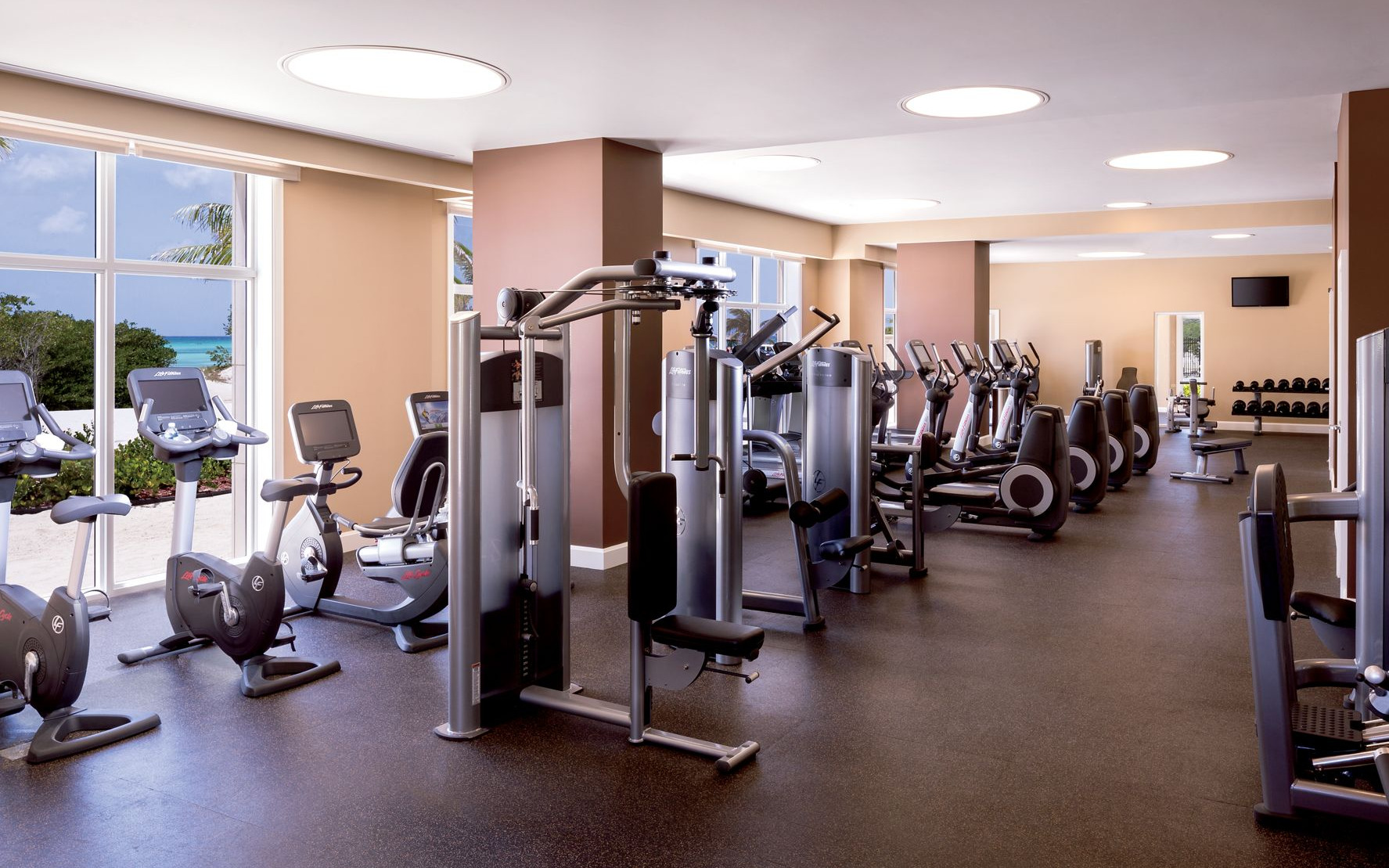 Gym Gym