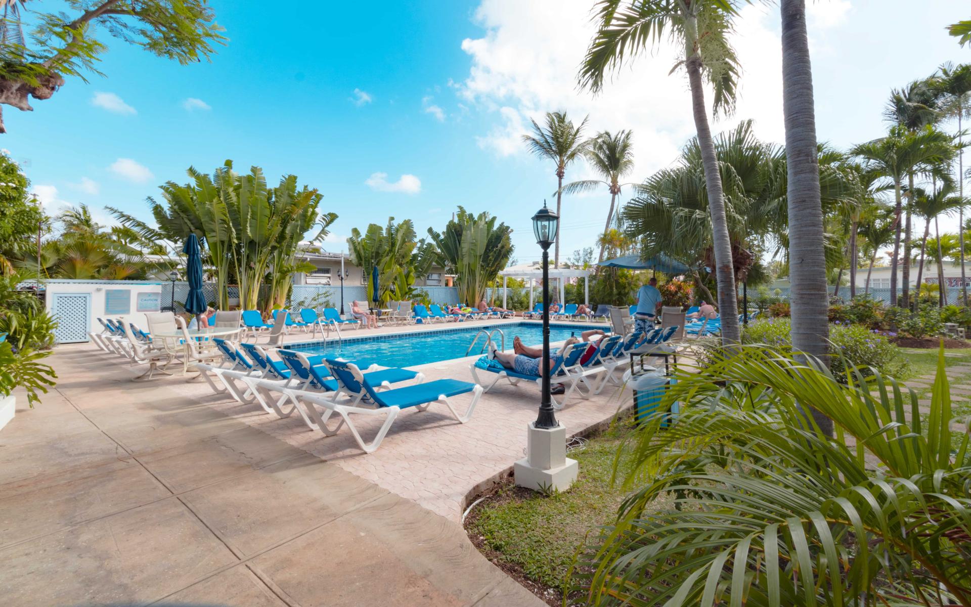 Piscine Piscine