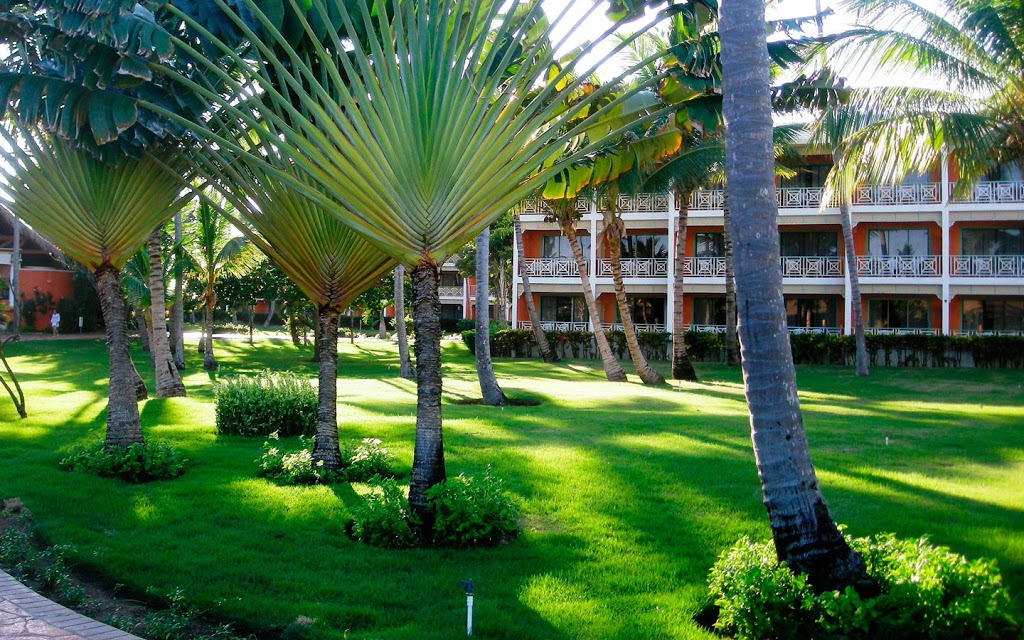 Garden Garden